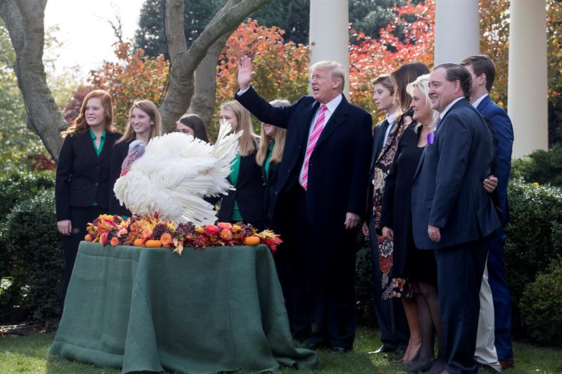 Trump cumple con la tradición del indulto al pavo antes de Acción de Gracias