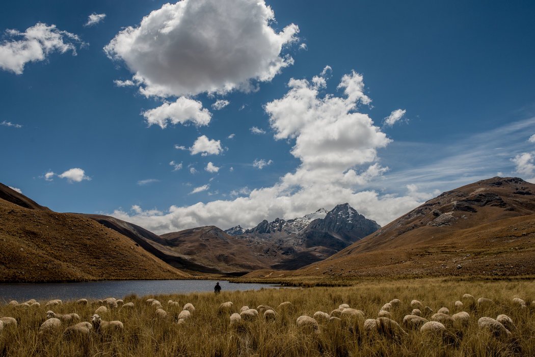 El calentamiento global, una bendición en el desierto… por ahora