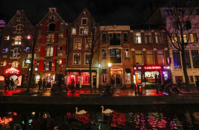 Swans are seen on a canal in the red district of Amsterdam, Netherlands, November 30, 2017. Picture taken November 30, 2017. REUTERS/Yves Herman