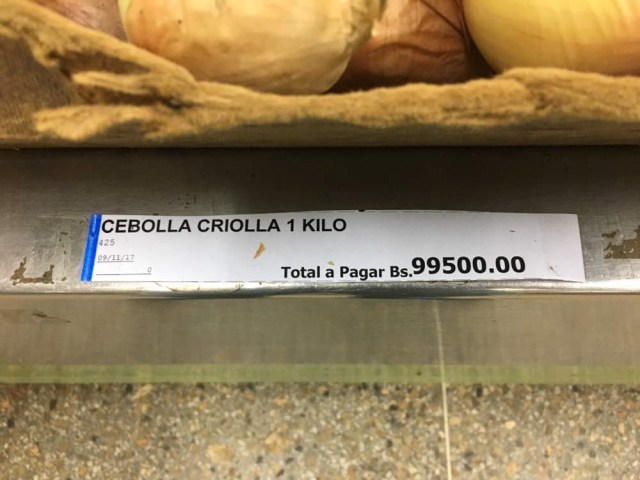 cebolla