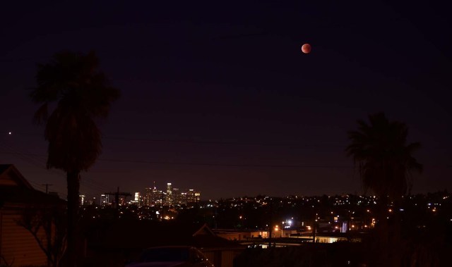 A Super Blue Blood Moon hovers over Los Angeles, California in the early hours of January 31, 2018, during an event not seen since 1866 when three fairly common lunar happenings occur at the same time. Stargazers across large swathes of the globe -- from the streets of Los Angeles to the slopes of a smouldering Philippine volcano -- had the chance to witness a rare "super blue blood Moon" Wednesday, when Earth's shadow bathed our satellite in a coppery hue.The celestial show is the result of the Sun, Earth, and Moon lining up perfectly for a lunar eclipse just as the Moon is near its closest orbit point to Earth, making it appear "super" large. / AFP PHOTO / Frederic J. Brown
