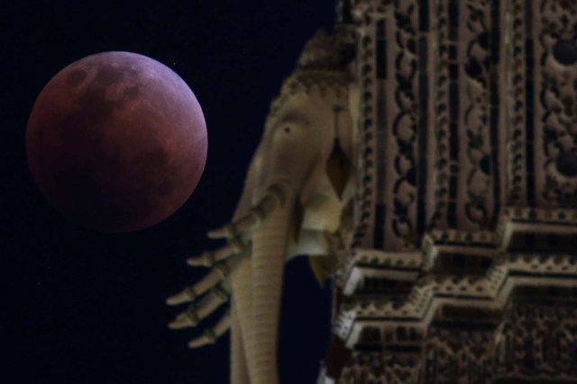 A "super blood blue moon" is seen behind an elephant statue during an eclipse at a temple in Bangkok, Thailand, January 31, 2018. REUTERS/Athit Perawongmetha