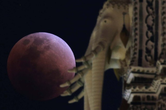 A "super blood blue moon" is seen during an eclipse behind an elephant statue at a temple in Bangkok, Thailand, January 31, 2018. REUTERS/Athit Perawongmetha