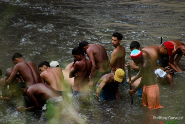 (Foto: Steffany Carvajal / La Patilla)