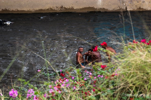 (Foto: Steffany Carvajal / La Patilla)