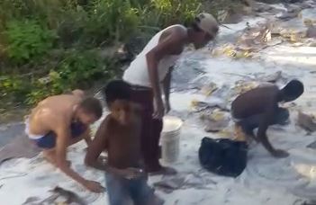 ¡El pueblo mendigando por el piso!… se volteó un camión de harina y pobladores la recogen hasta con la ropa