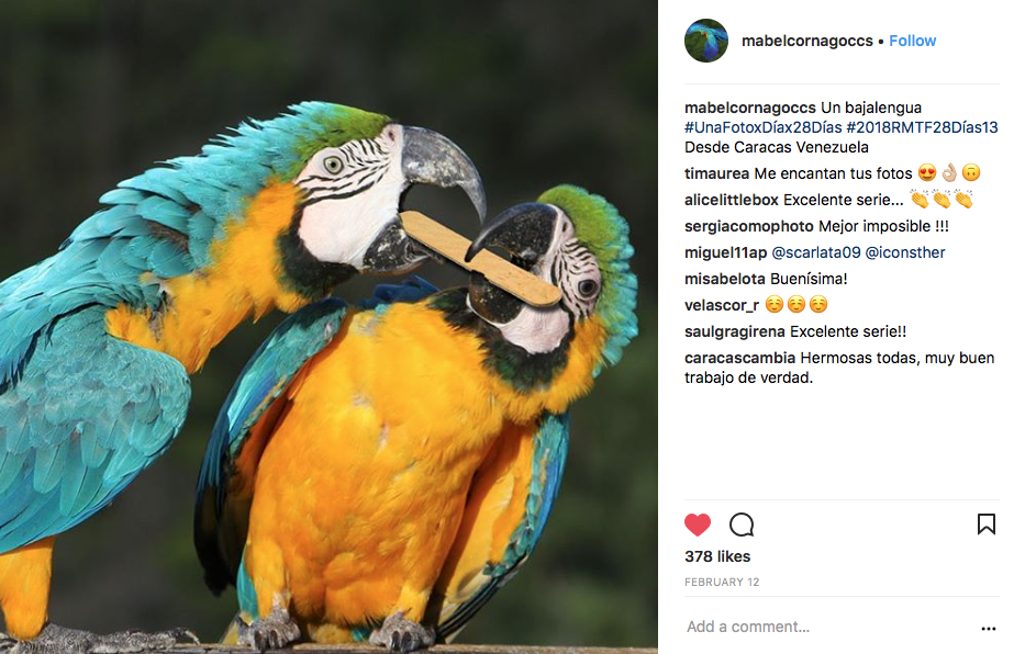 Un vistazo al reto fotográfico de Roberto Mata en Instagram