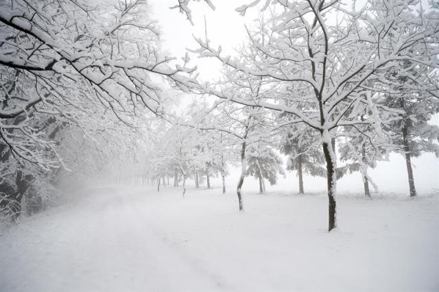 Clima nevado en Kalwaria Paclawska, en el sureste de Polonia (Foto: EFE / Darek Delmanowicz)