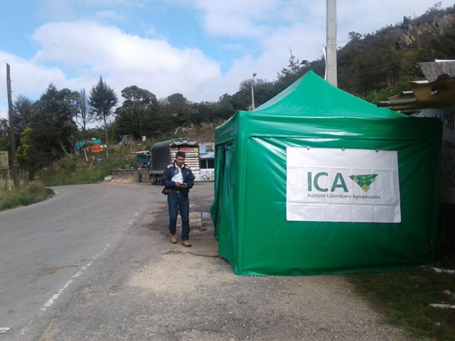 Foto: ICA 