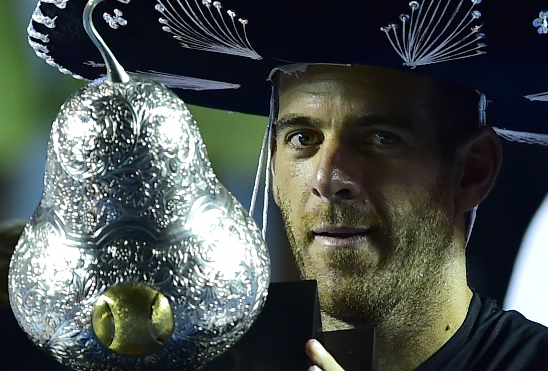 Del Potro vence a Kevin Anderson y gana el torneo de Acapulco