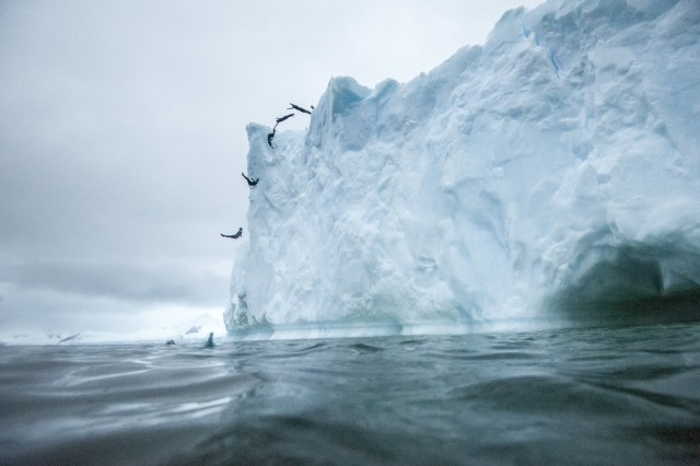 CLO001. ANTÁRTICA, 10/03/2018.- Fotografía sin fechar cedida por Red Bull Colombia que muestra un efecto de multiexposición mientras el clavadista Orlando Duque salta desde un iceberg, en la Antártica. El clavadista colombiano Orlando Duque saltó desde dos icebergs de gran altura en la Antártida, para cumplir así uno de sus grandes sueños, informó este sábado, 10 de marzo de 2018, su equipo de prensa. EFE/Cortesía Red Bull Colombia/SOLO USO EDITORIAL/NO VENTAS