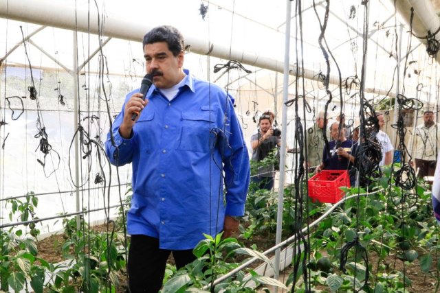 Foto: Prensa Presidencial