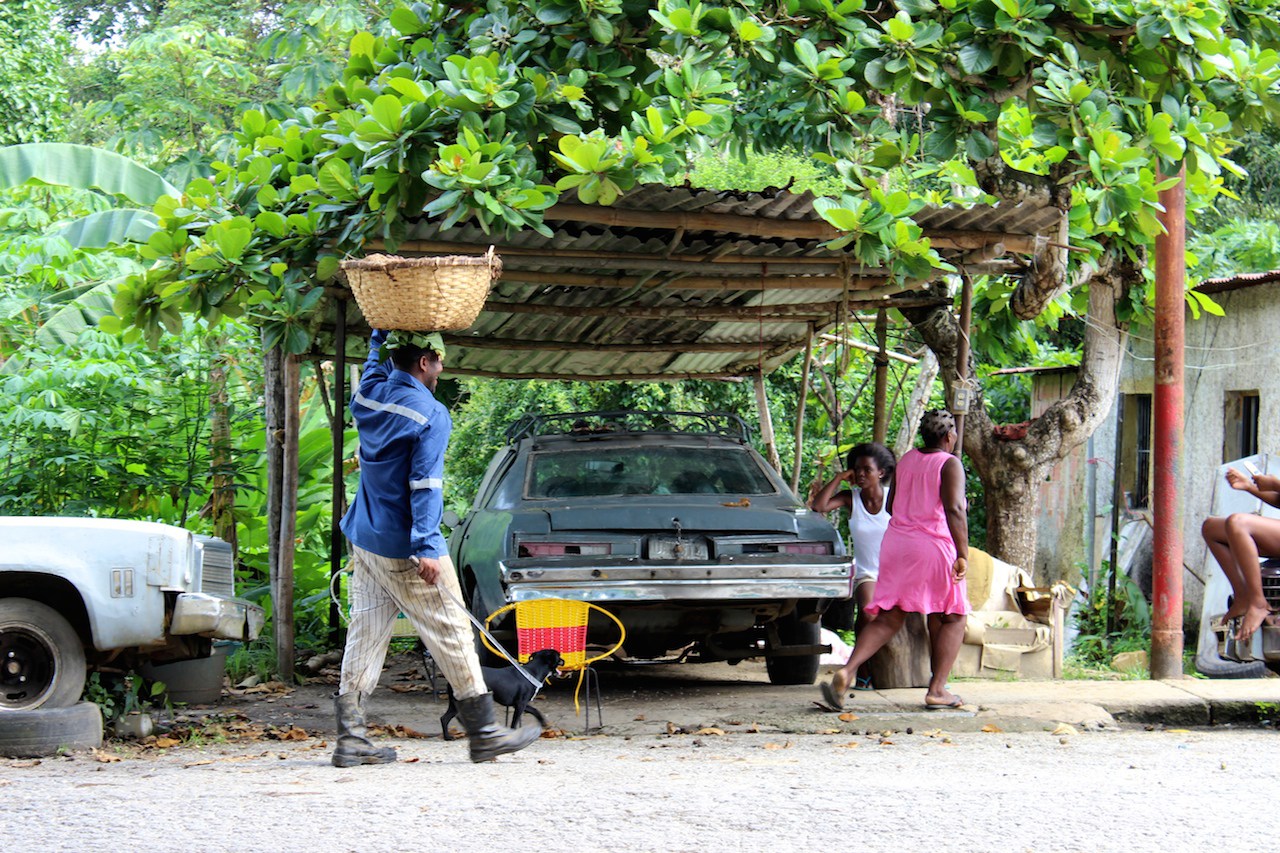 Productores de Barlovento denuncian mafias y el monopolio en la venta de Cacao