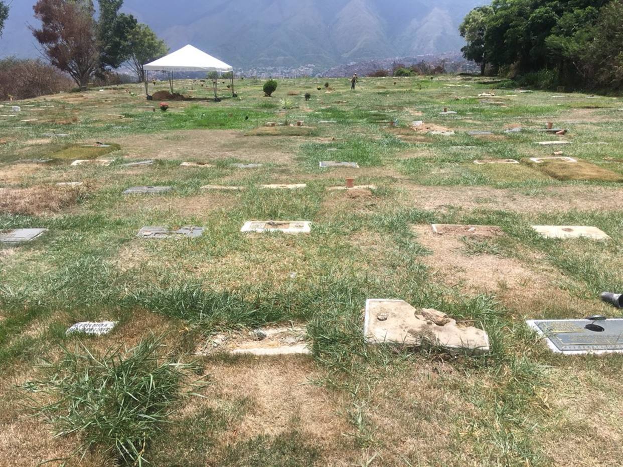 Retiraron placas del Cementerio del Este para resguardarlas de la delincuencia (Video)