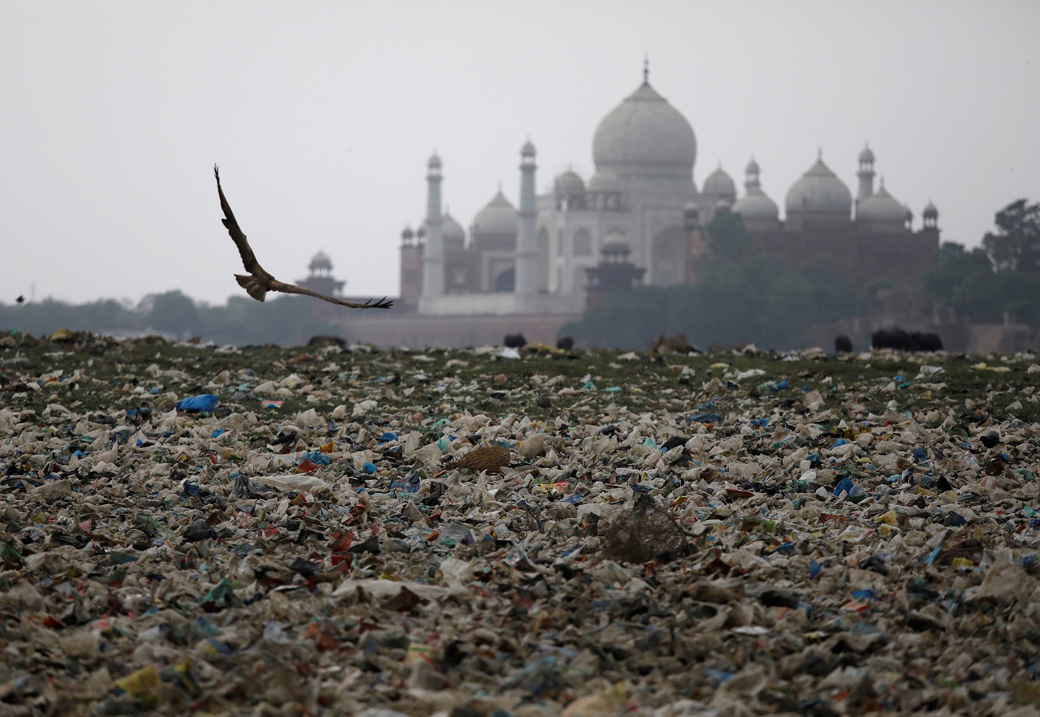 La Tierra no se salvará sin la contribución de India a la lucha contra el cambio climático