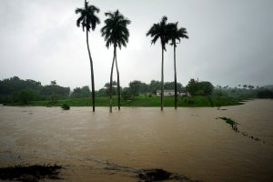 Miles de personas evacúan mientras tormenta Alberto avanza hacia Florida