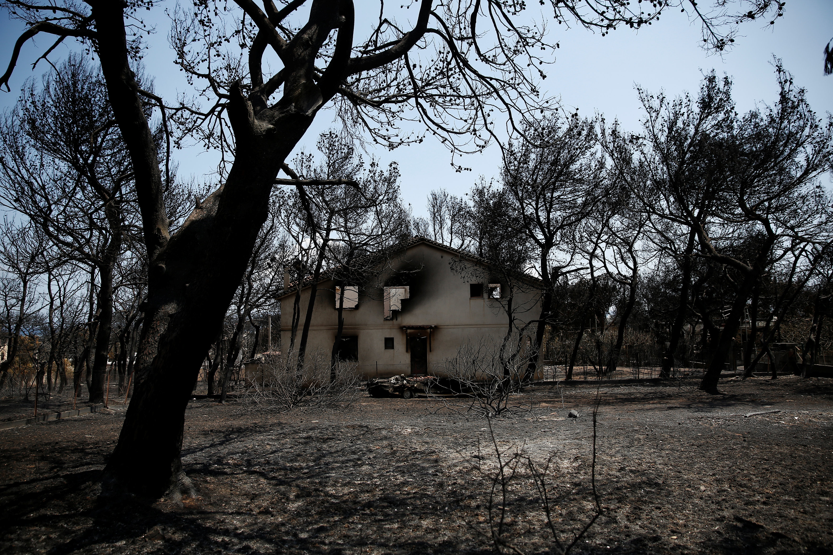 Sube a 91 el balance de muertos por los incendios en Grecia