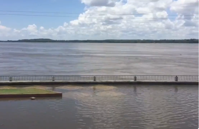 ¡Alarmante! Así se encuentra el Paseo Orinoco este domingo #26Ago (Video)