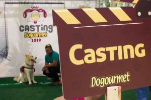 Dogourmet hizo en Caracas el primer casting de su Calendario 2019