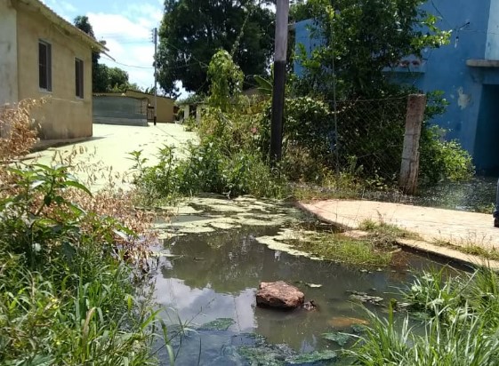 Mas de 280 familias afectadas por la crecida del Río Orinoco en uno de los sectores más antiguos de Ciudad Bolívar