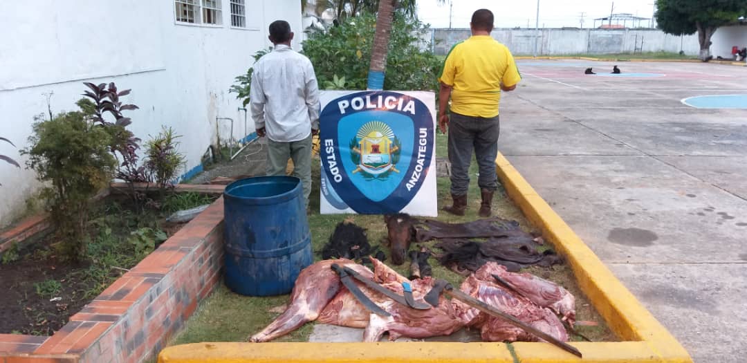 Detienen a dos sujetos en Anzoátegui por descuartizar dos caballos