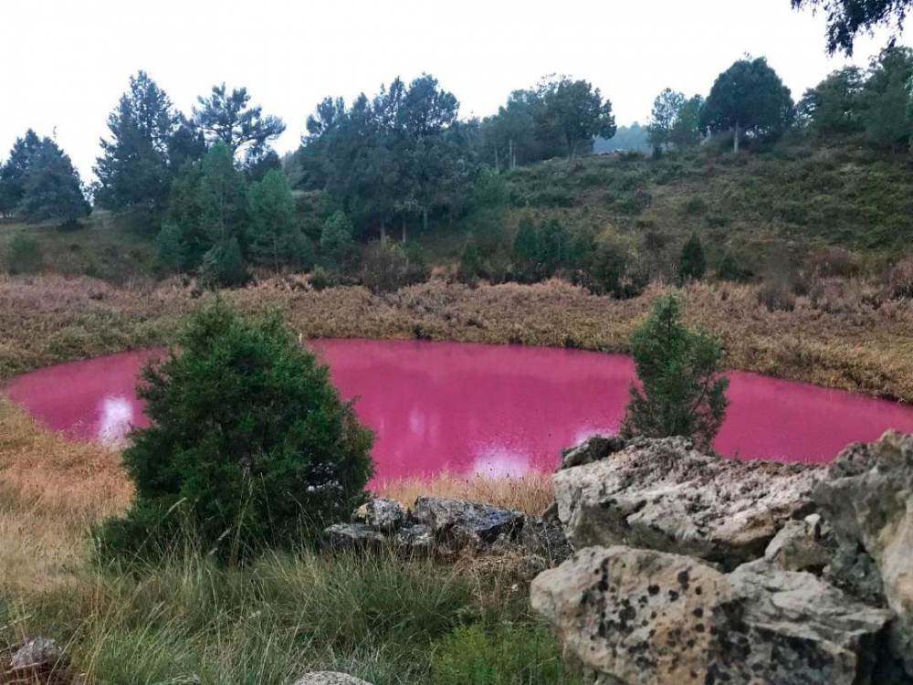 La desconcertante laguna fuscia que apareció en España (imágenes)