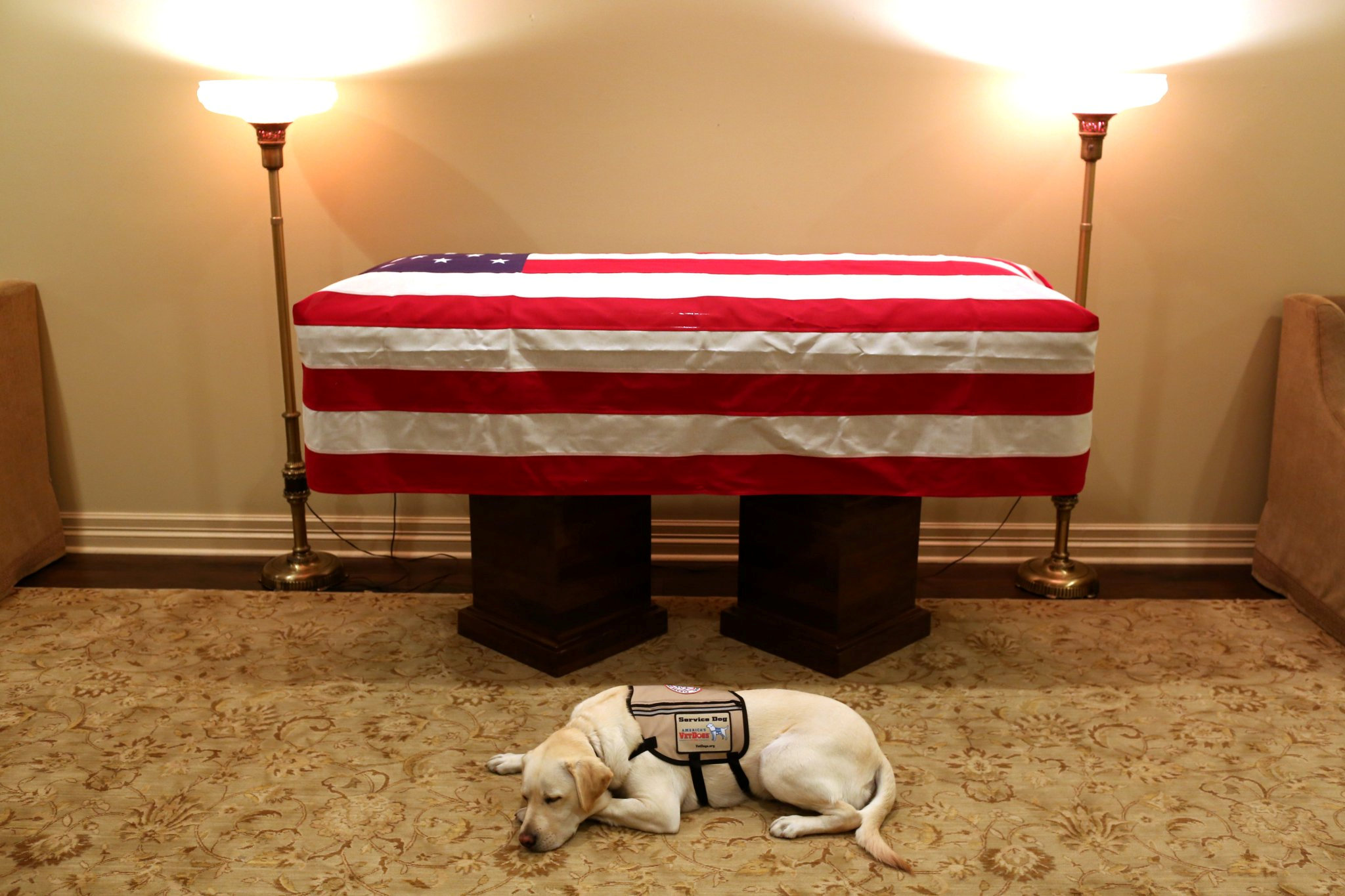 El perro Sully acompaña a George H. W. Bush (foto)