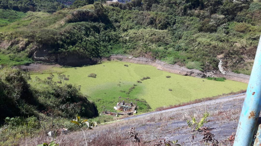 Vamos a morir de sed: Recorrido por “la Pereza” revela que viene grave sequía por negligencia bolivariana (FOTOS)