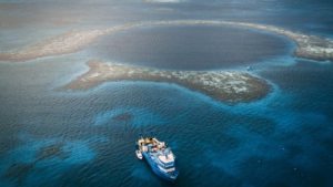 Los increíbles hallazgos de una expedición en el Gran Agujero Azul en el Caribe (Fotos)