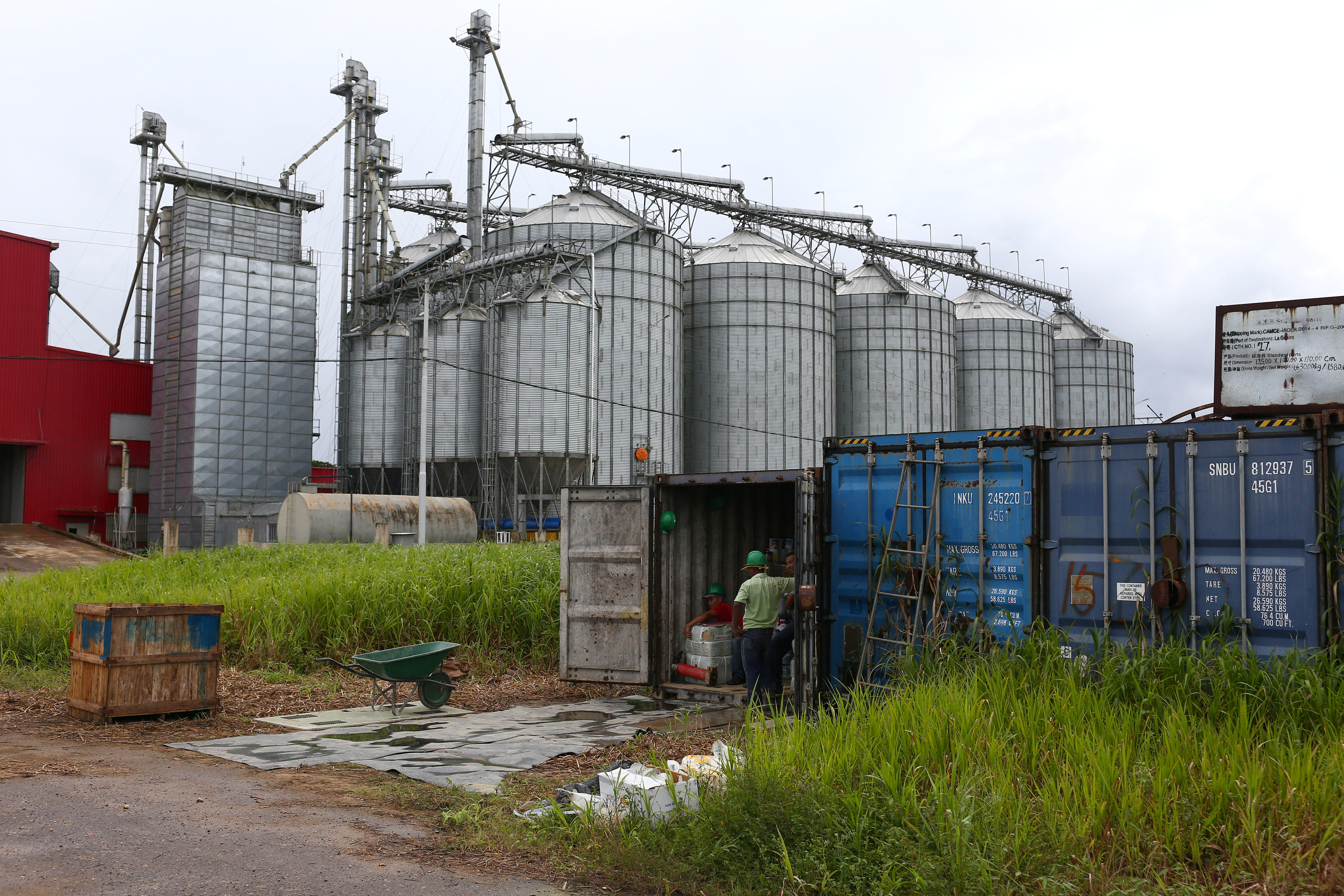 Fevearroz: Se necesitan más de 2 millones de litros de gasoil para sembrar