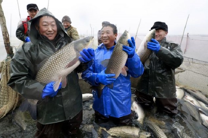 Pesqueros chinos se dan fiesta en aguas de Latinoamérica