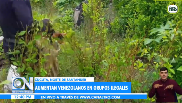 venezolanos