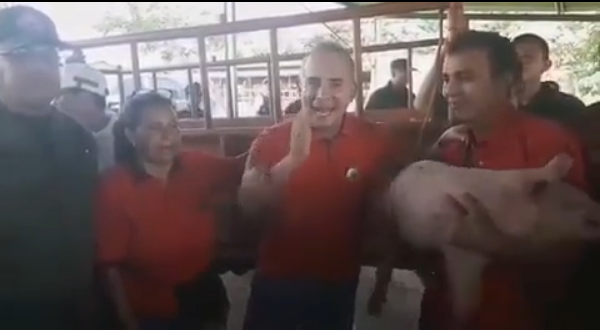 Bernal intentó decir algo entre chavistas y chillidos de cerdos (Video+Oiiiiinc)