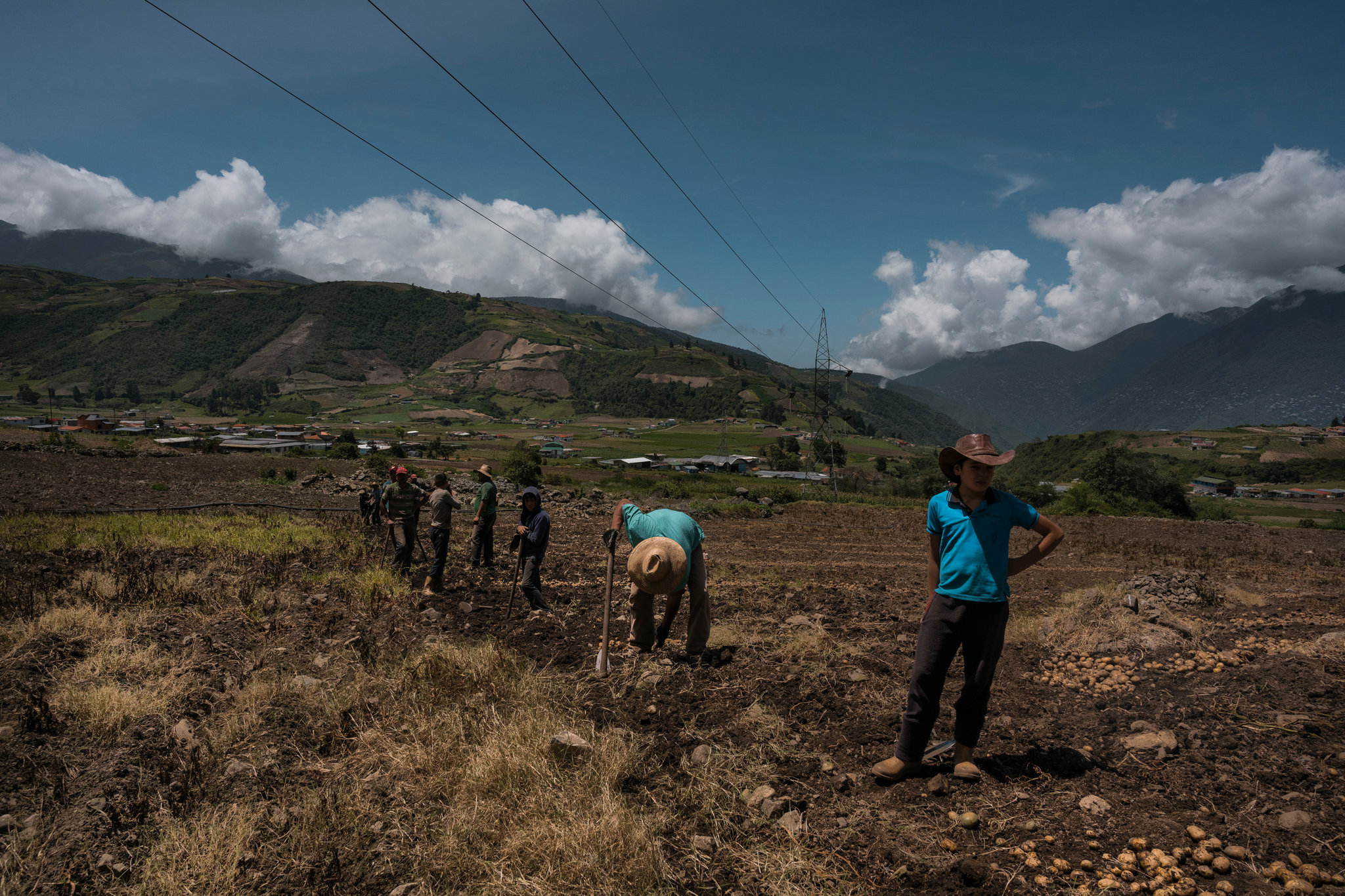 The New York Times: La escasez de combustible paraliza la agricultura en Venezuela… “todo se perdió”