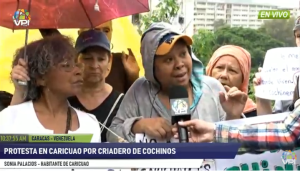 Vecinos de Caricuao rechazan criadero de cochinos en el Parque Leonardo Ruiz Pineda #13Jul