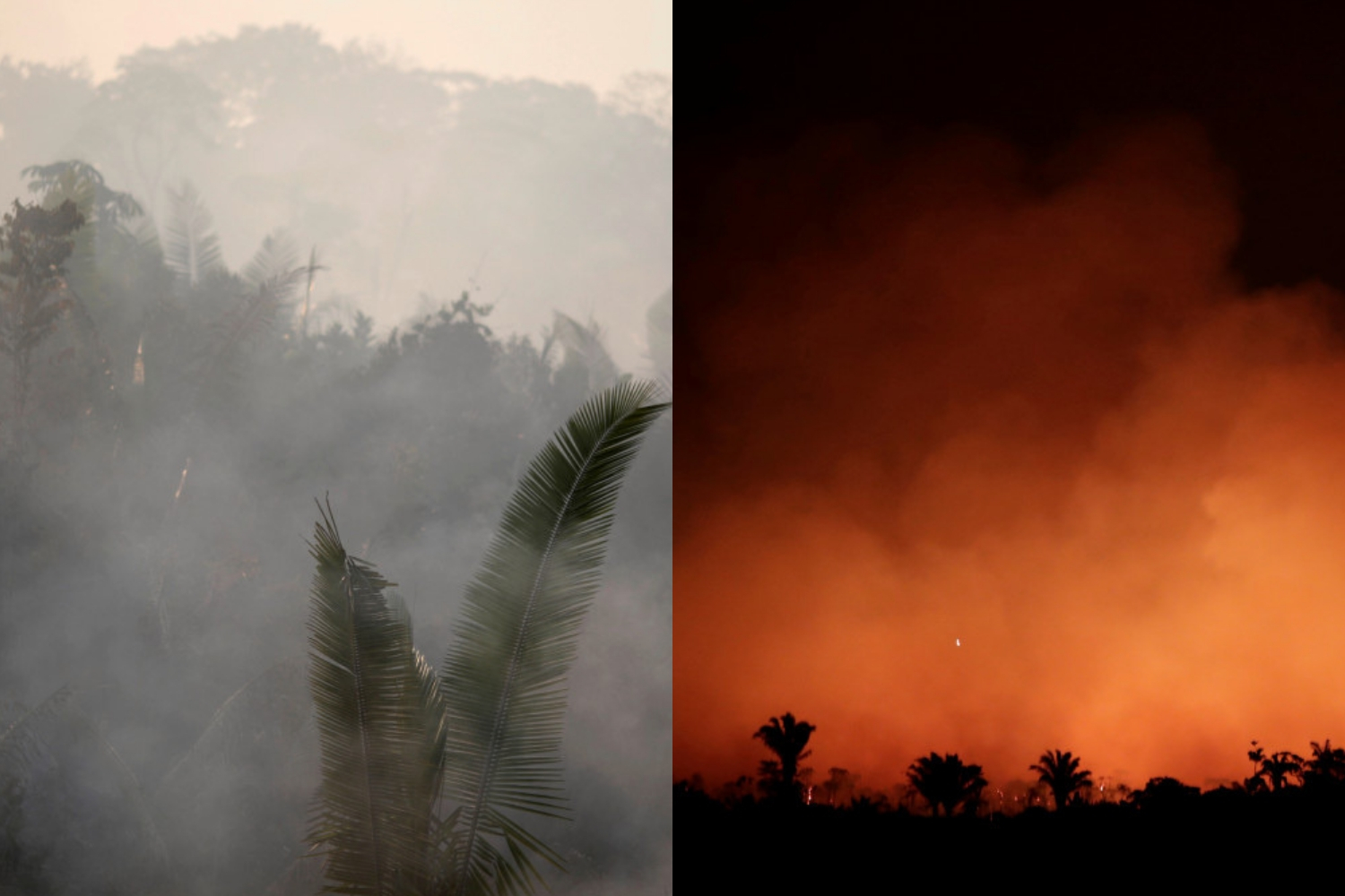 Días grises y noches amarillas visten el Amazonas ante el avance del fuego