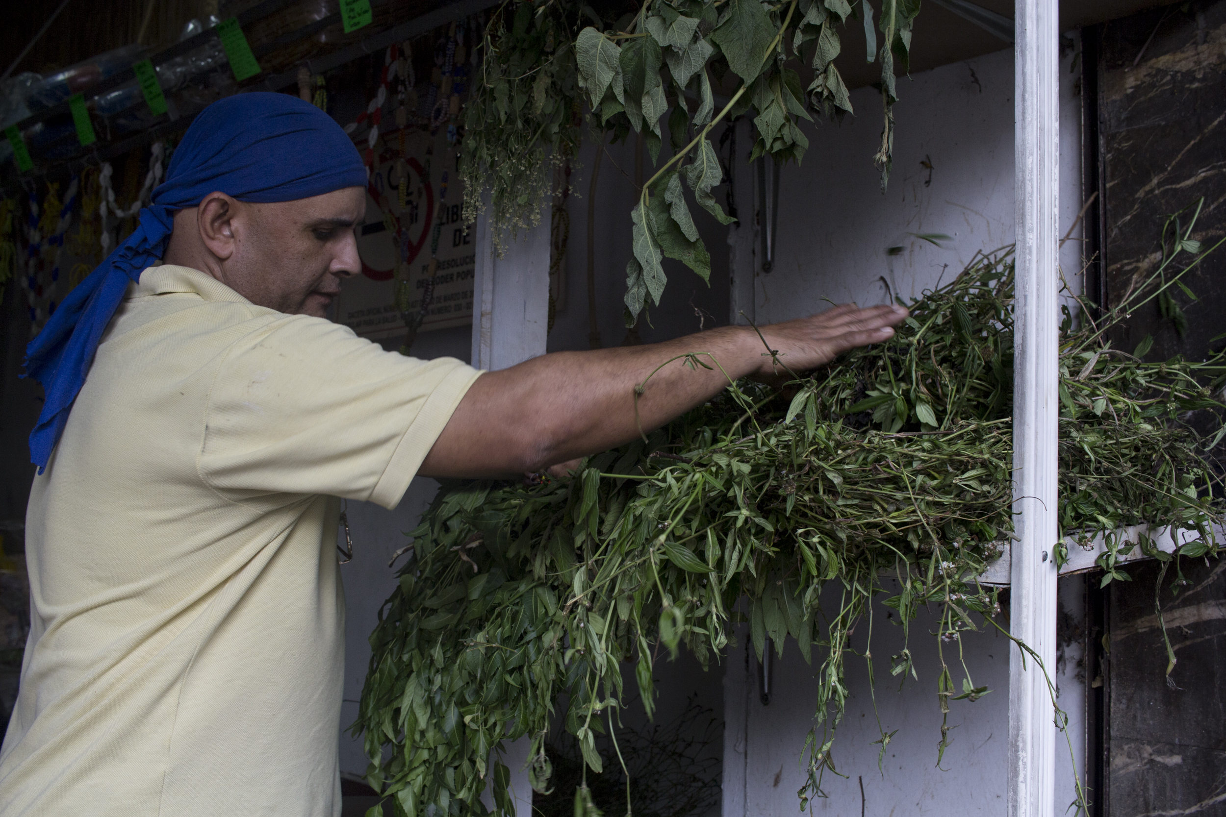 ¡A ramazo limpio! Aumenta compra de plantas ante “estratosféricos” precios de las medicinas