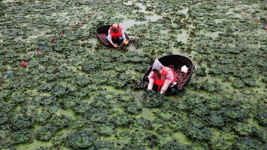 La otra cara de China: Pobreza extrema, poblaciones rurales y creciente desigualdad