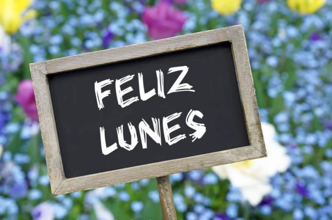 Feliz lunes para todos… incluso para los accidentados (Video)