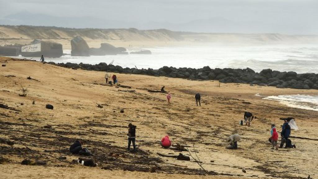 Hallan una tonelada de cocaína en playas en Francia