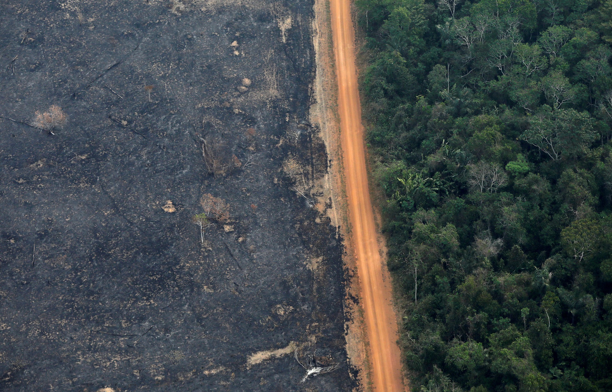 Merkel tiene dudas sobre el acuerdo UE-Mercosur por situación del Amazonas