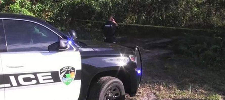 Niña recibió un disparo durante práctica de tiro de su hermano en el sur de Florida