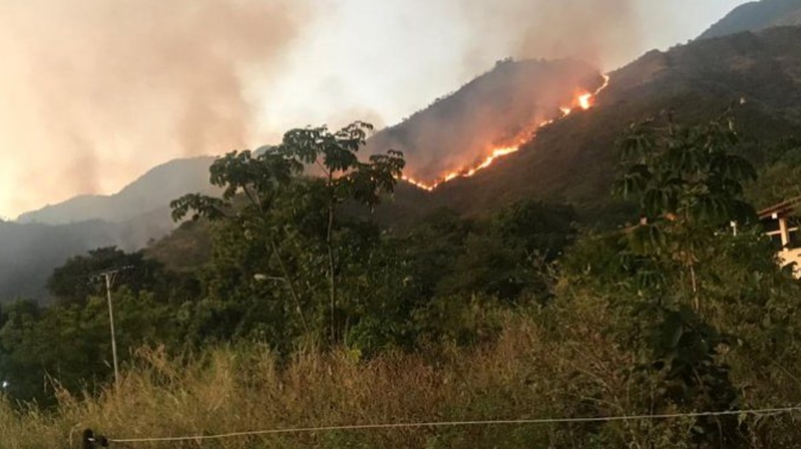 Tras el incendio en el Henri Pittier, Inparques advierte que no tienen condiciones para atender siniestros