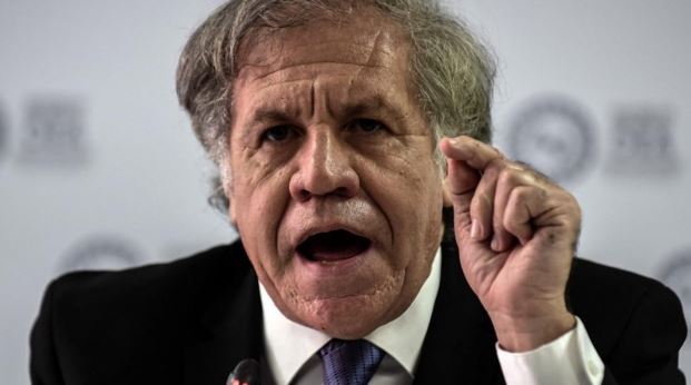 Almagro cree que el problema de la democracia latinoamericana son “los burros” que gobiernan