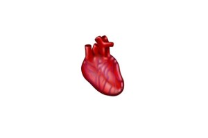 Emojis anatómicos de corazón y pulmones aprobados para su lanzamiento en 2020