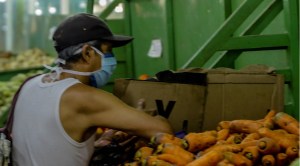 Racionamiento de combustible amenaza con paralizar producción agropecuaria en Bolívar e incrementar escasez