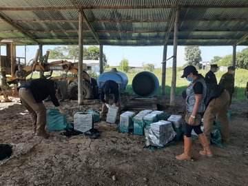 Golpe al narcotráfico en Paraguay: incautaron una avioneta con casi 400 kilos de cocaína