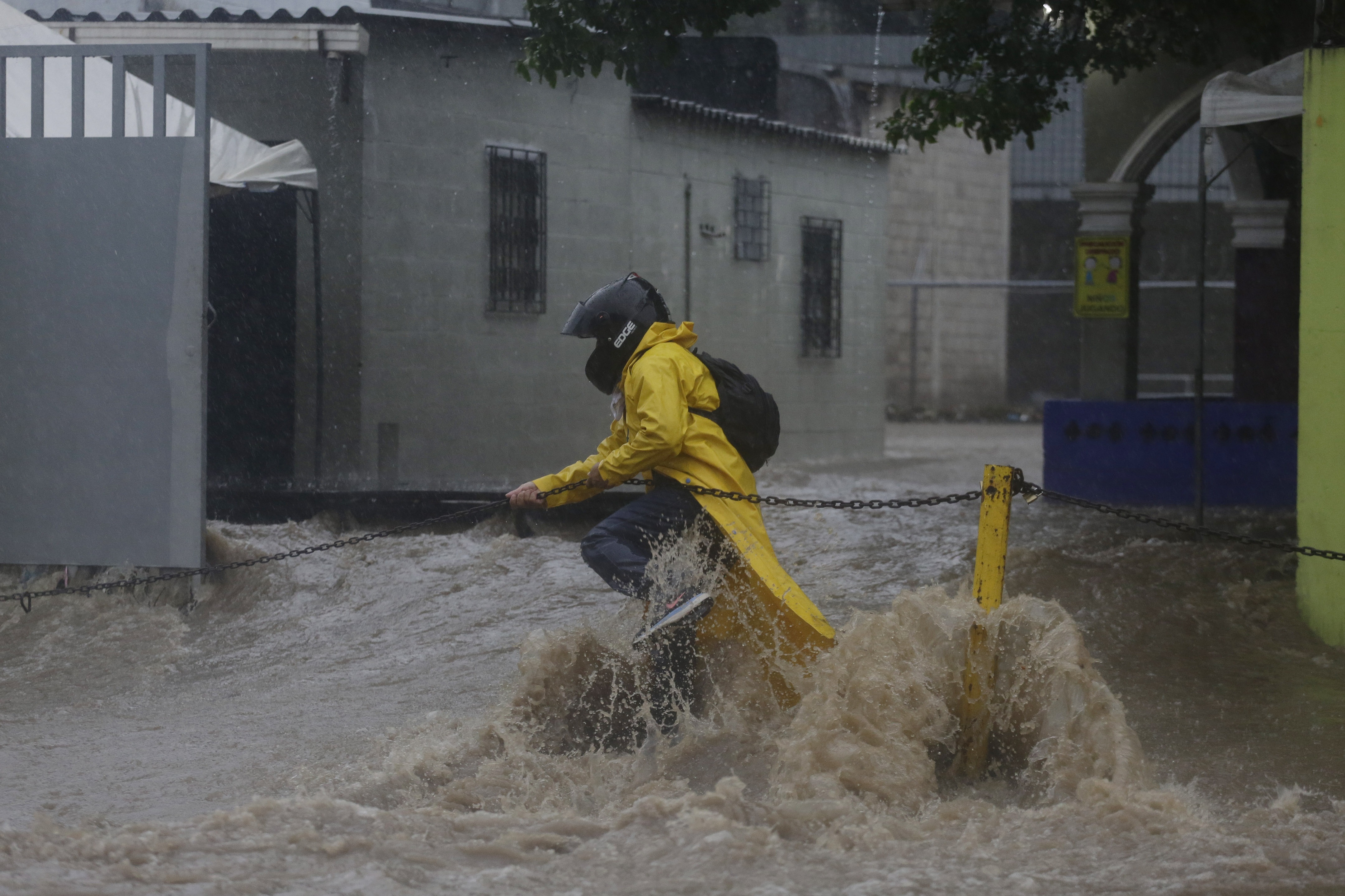 Delfín murió tras ser expulsado del mar por la tormenta Amanda en El Salvador (Foto)