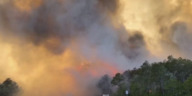 Cientos de personas son evacuados por incendios forestales en Florida