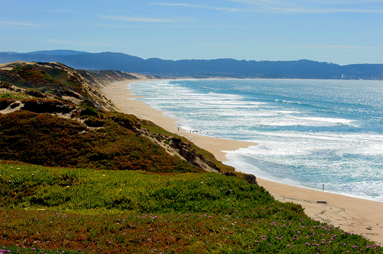 El coronavirus no pudo cerrar la playa del norte de California, pero el tiburón mortal sí pudo